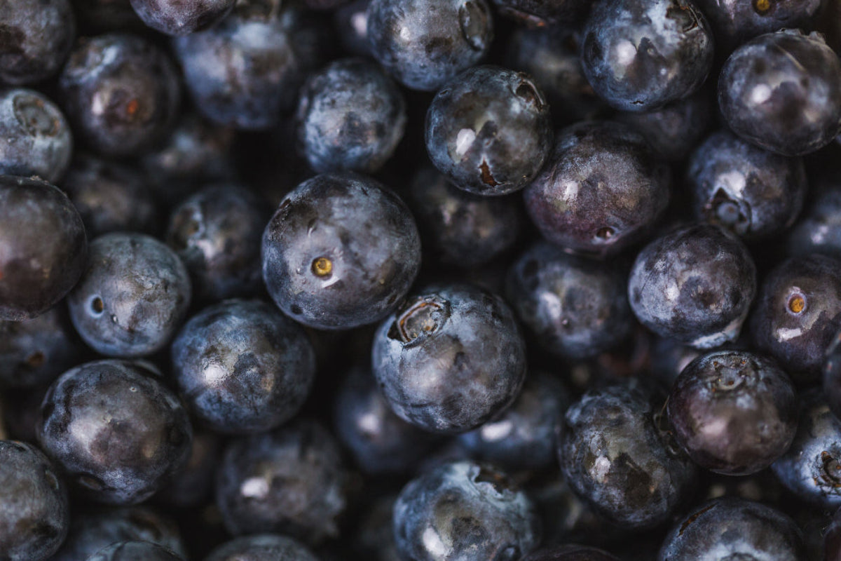 Close-up of a pile of dark blueberries